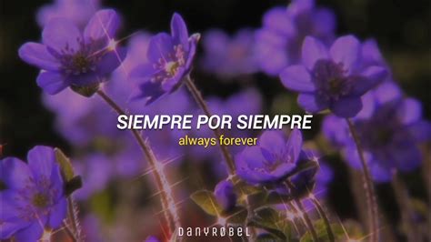 always forever lyrics|always letra español.